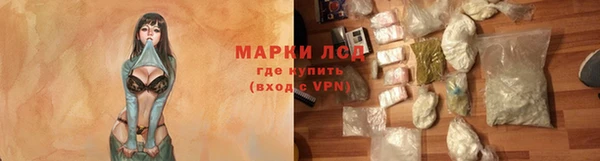 стафф Арсеньев